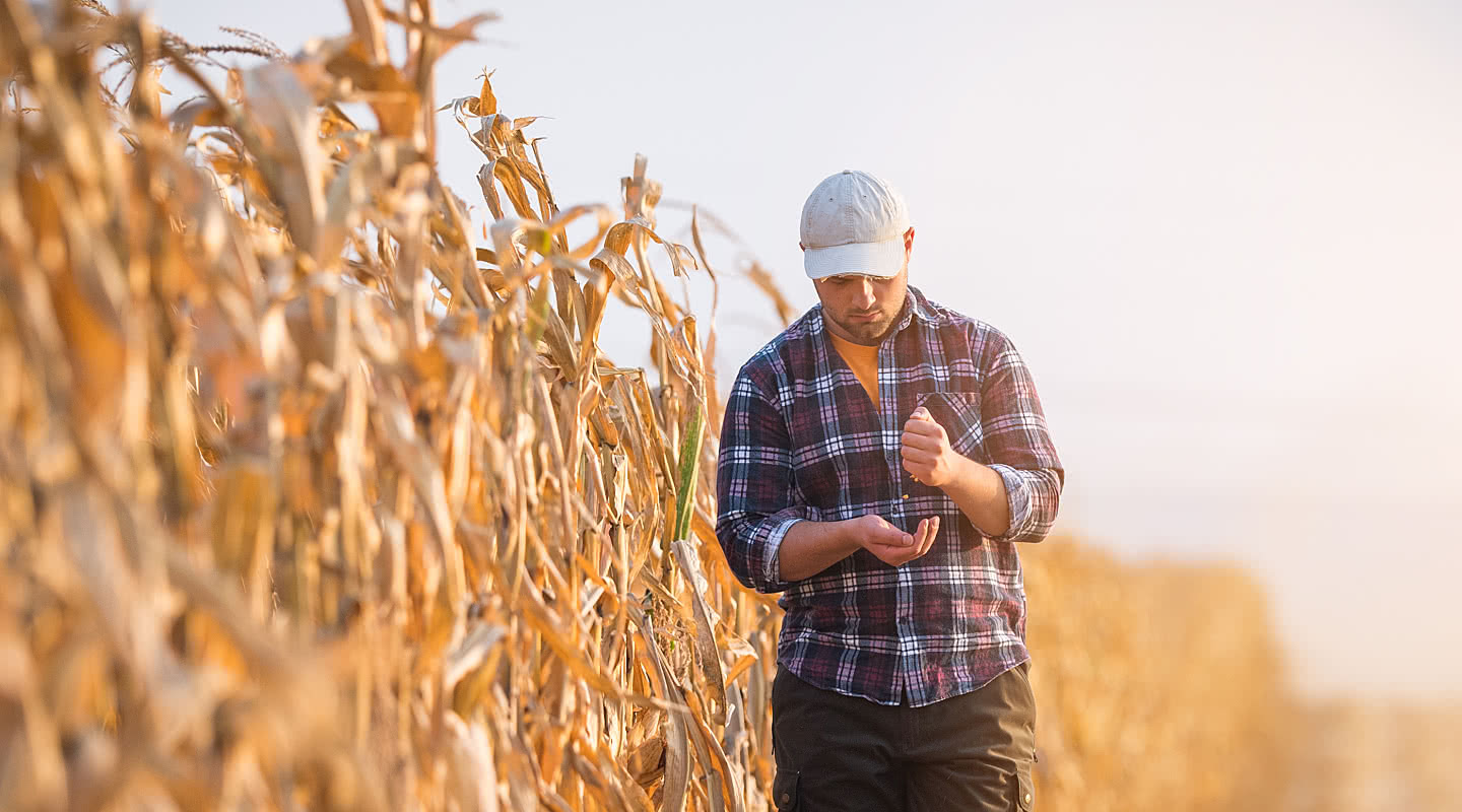 Obtaining Farm Loans With Bad Credit How to Cultivate Business Growth